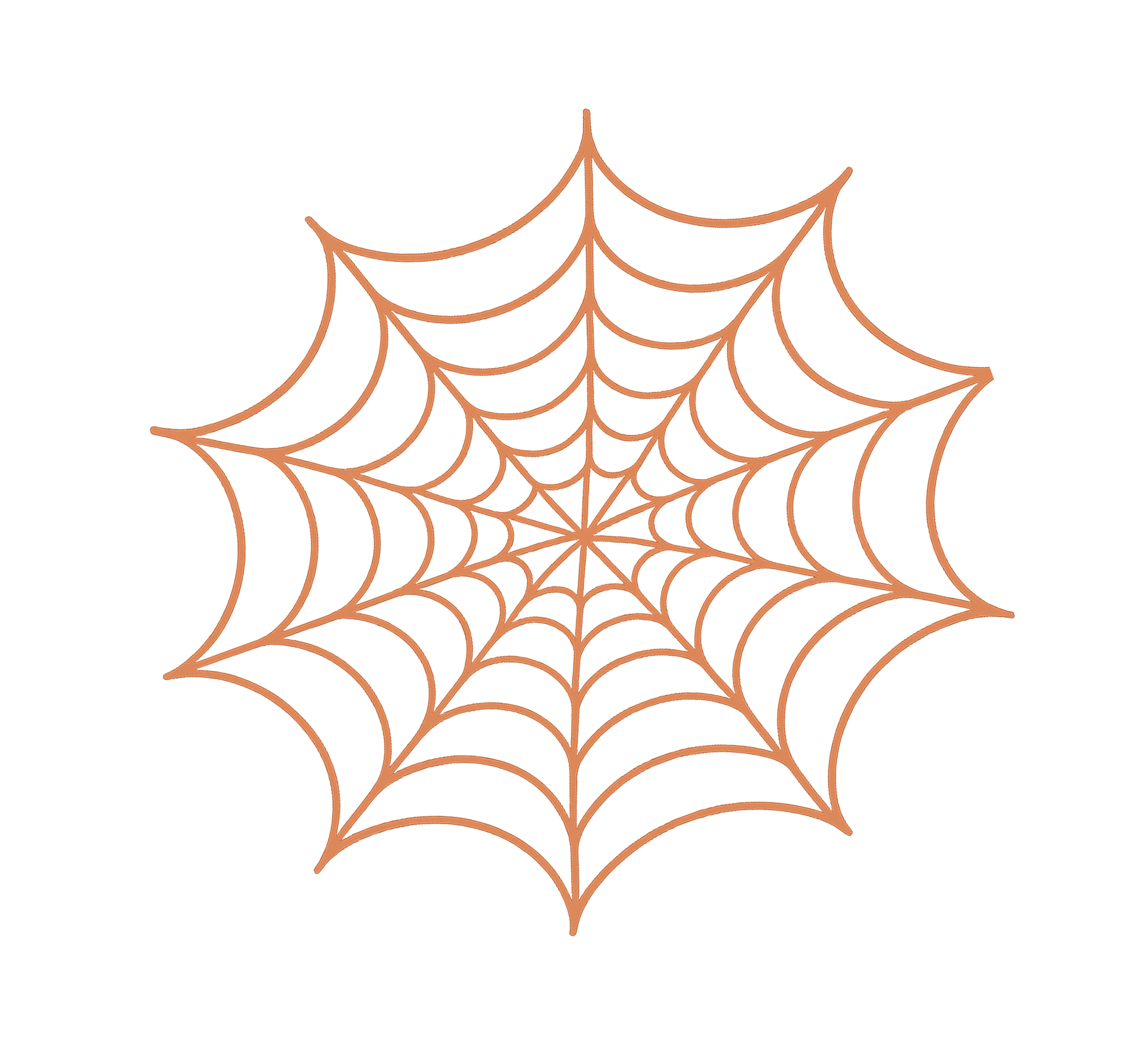 Spider web